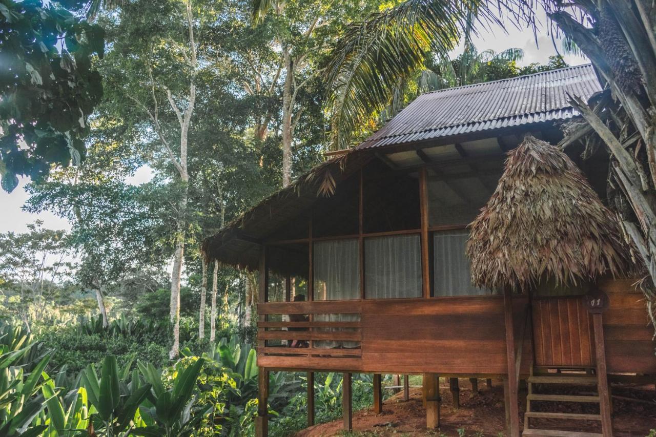 Wasai Tambopata Lodge Εξωτερικό φωτογραφία